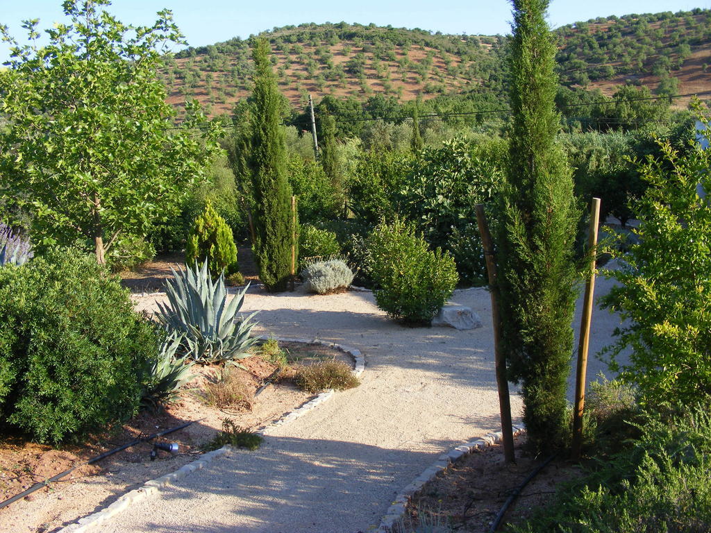 Fazendinha - Tavira - Spacious And Tranquil Hotel Kültér fotó